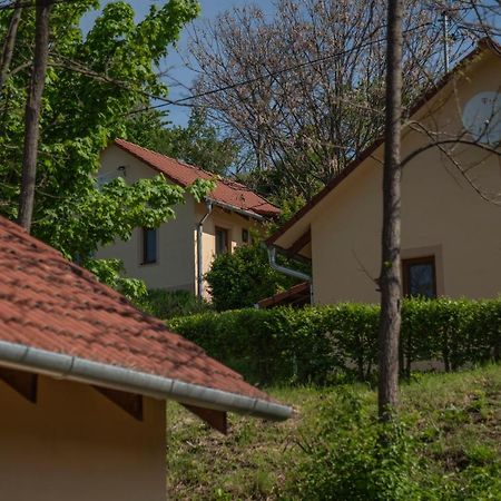 Tulipan Apartman Έγκερ Εξωτερικό φωτογραφία